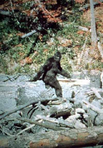 Bigfoot_Is_Real